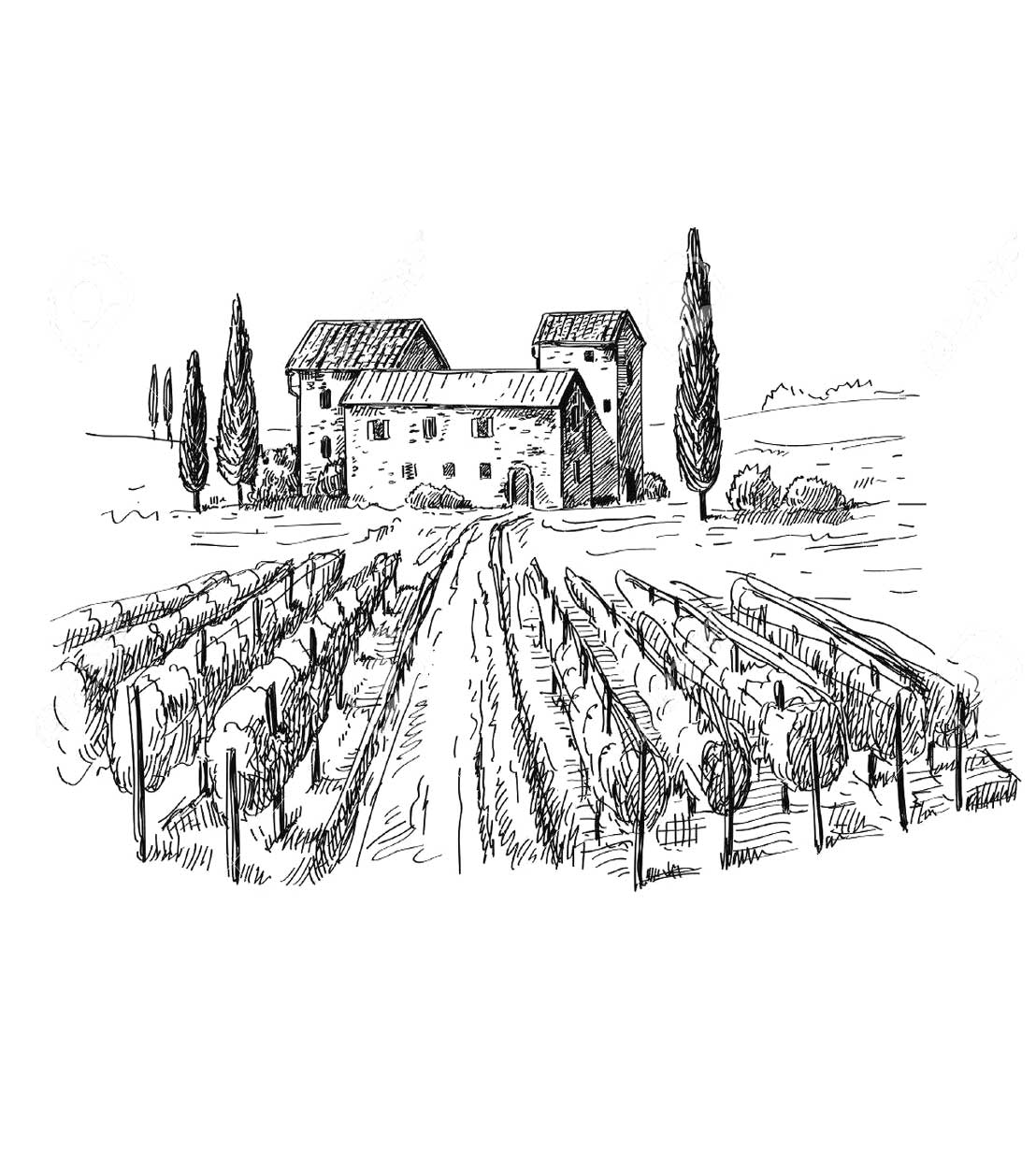 Ilustracion Hoteles Grupo Los Toreros